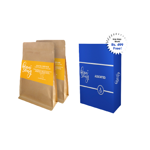 South Indian Filter Coffee with Chicory (250 g) Pack of 2 with Free Assorted Coffee Drip Bags of 6 Easy Pour (6X20g) Coffee Blends